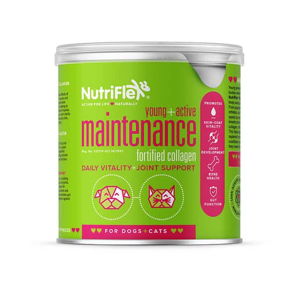 Nutriflex Everyday Maintenance Collagen For Dogs And Cats 250G