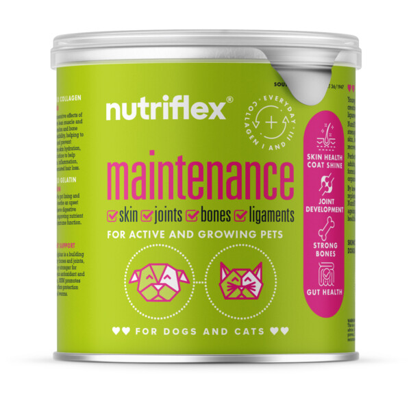 Nutriflex Everyday Maintenance Beef Collagen For Dogs And Cats 250G