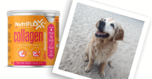 Nutriflex™ Hello Happiness With Purdey The Dog