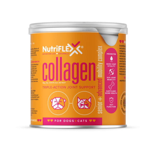 NutriFlex Advanced Joint Mobility Supplement For Dogs and Cats 250g