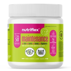 Maintenance Collagen for Dogs and Cats