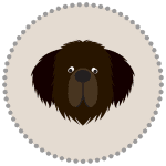 giant-breed supplement daily serving for giant breed dogs