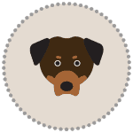 large-breed supplement daily serving for large breed dogs