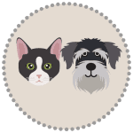 small-breed-dog-and-cat supplement daily serving for small breed dogs and cats