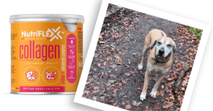 Nutriflex Natural Joint Supplement For Dogs And Cats