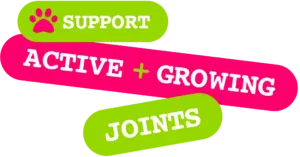support-active-and-growing-joints