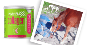 Nutriflex Collagen For Horses And Ponies