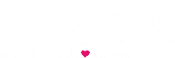 Nflex255X85Px