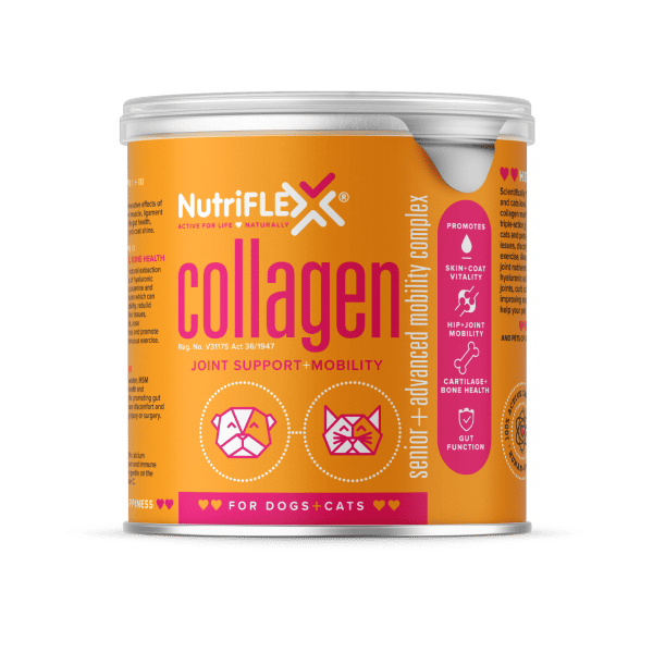 NutriFlex Best Joint Supplement For Dogs