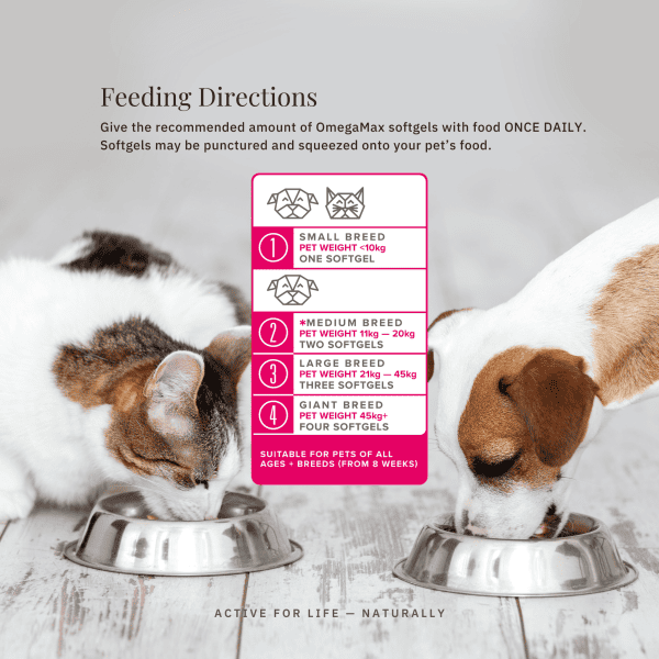 Omega 3 For Dogs And Cats Cat And Dog Eating Side By Side