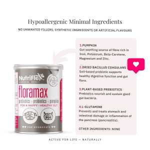 Floramax Probiotic For Dogs And Cats Prebiotic With Probiotics And Pumpkin Fibre