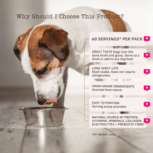 Dog bone broth powder hotsell