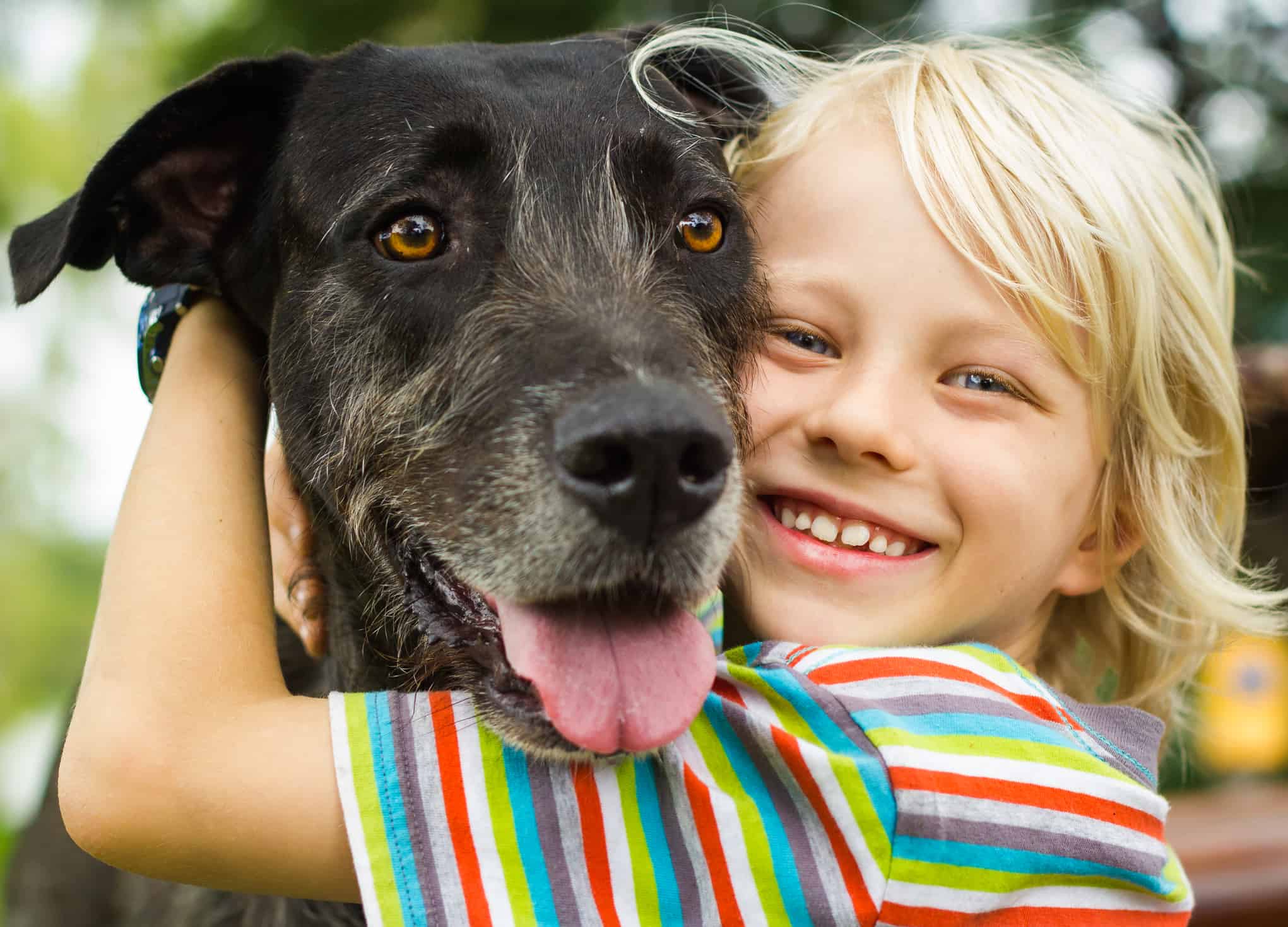 Dog-Supplements-Happy-Young-Boy-Lovingly-Hugging-His-Pet-Dog