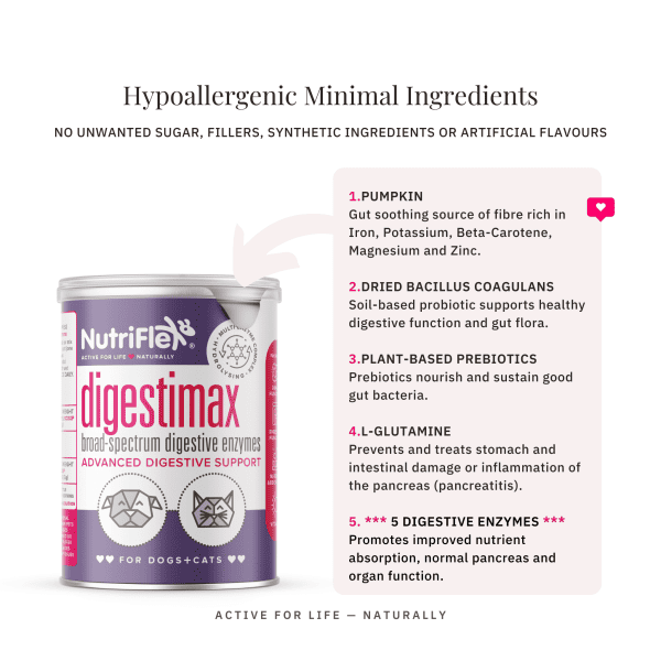 Extra Strength Probiotic For Dogs And Cats Natural Ingredients