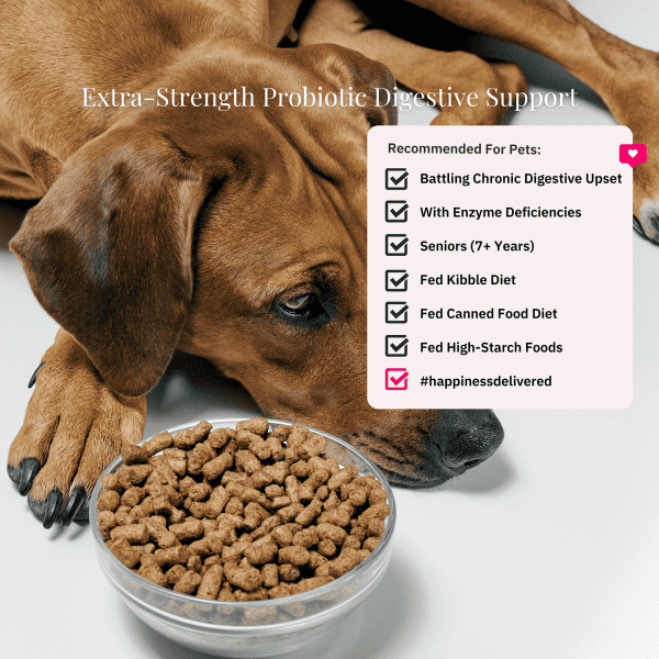 Extra Strength Probiotic For Dogs And Cats Recommended For Seniors