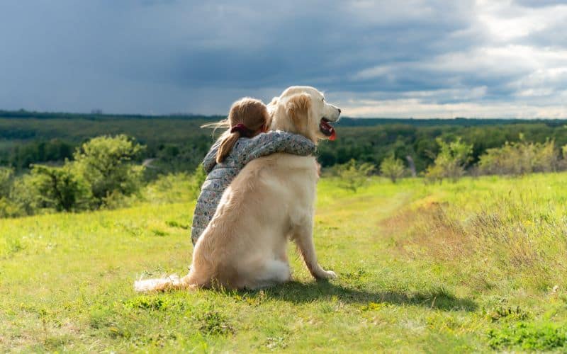 Dog-Supplements-Hugging-Retriever-On-Top-Of-Hill-Min