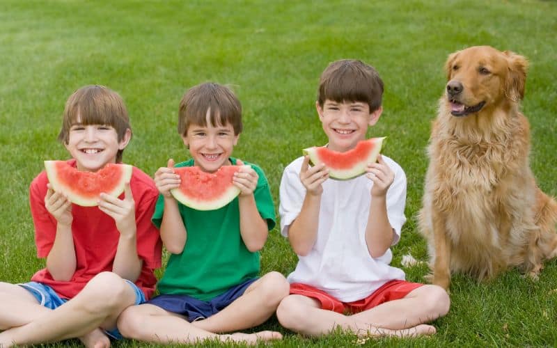Dog-Supplements-Three-Boys-Eating-With-Dog-In-Background-Min