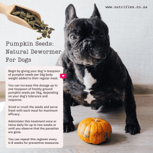 Pumpkin Seeds Natural Dewormer For Dogs And Cats How To Use