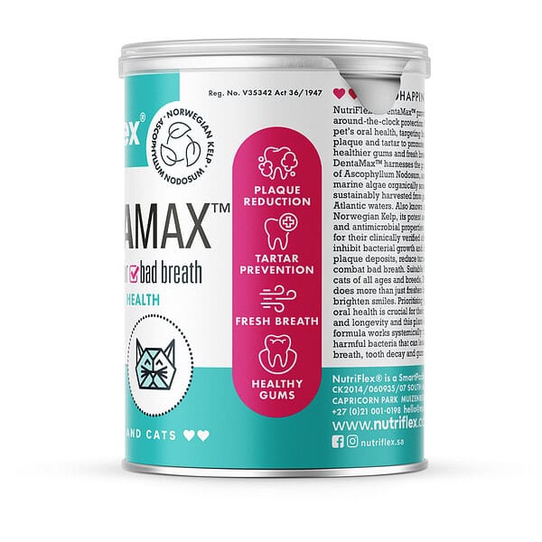 The Benefits Of Packshot Of Dentamax Nowegian Kelp Powder For Dogs