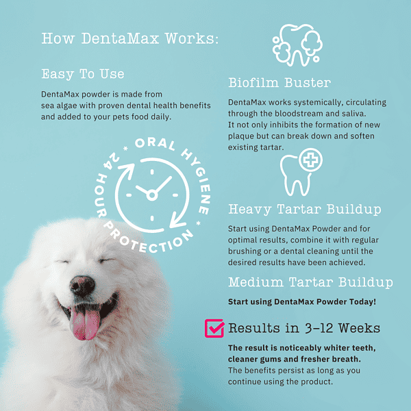 Infographic Explaining How Does Dentamax Dental Powder For Dogs Work To Keep Teeth Clean, Gums Healthy And Breath Fresh