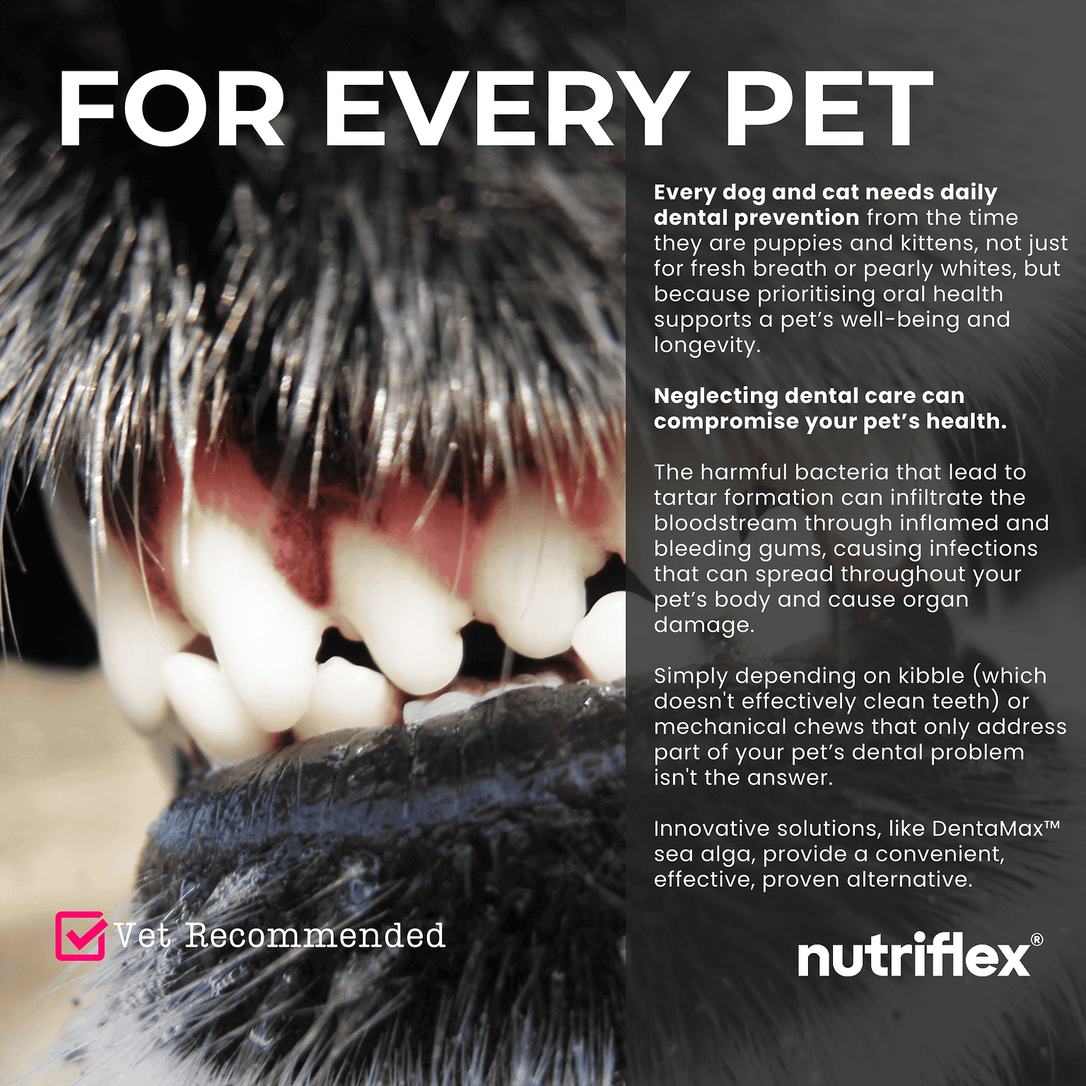 DentaMax Dental Powder For Dogs And Cats 180g NutriFlex
