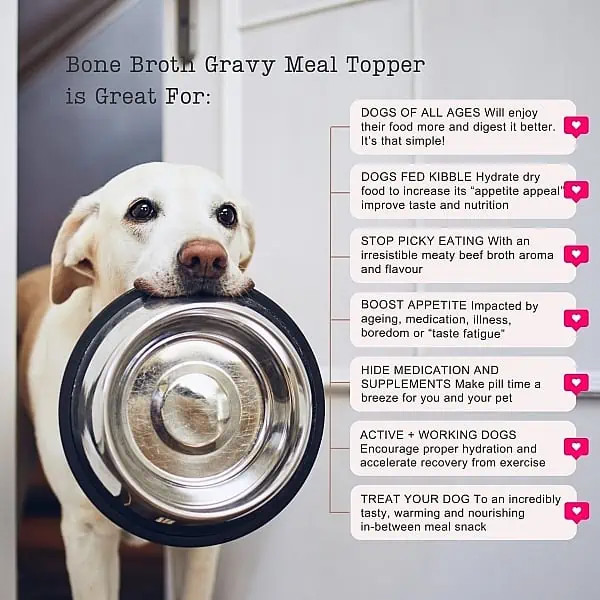Infographic Chicken Broth Dog Gravy Meal Topper For Dogs Showing A Dog Holding Its Food Bowl