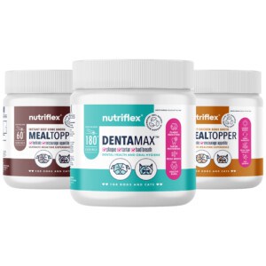 Canine Dental Bundle: DentaMax Oral Care and Bone Broth Meal Toppers