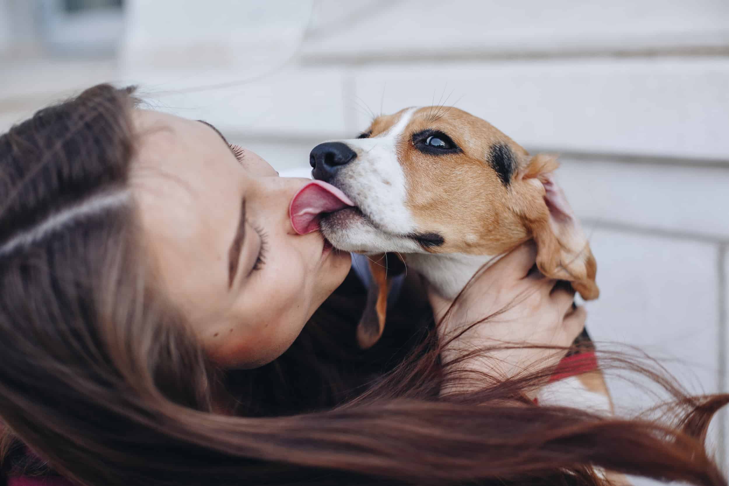 Bad Breath In Dogs With Owner Licking Her Face