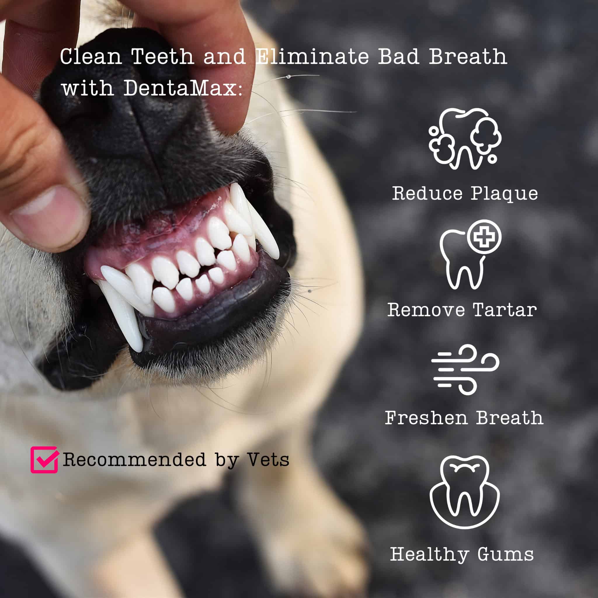 Nutriflex Dentamax Dental Powder For Dogs And Cats