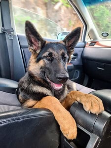Lyla Debbie Gardner