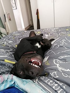 Ruby Nikki Grebe