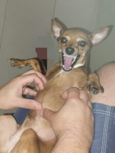 Img 20230110 Wa0003