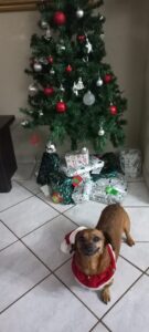 Bella