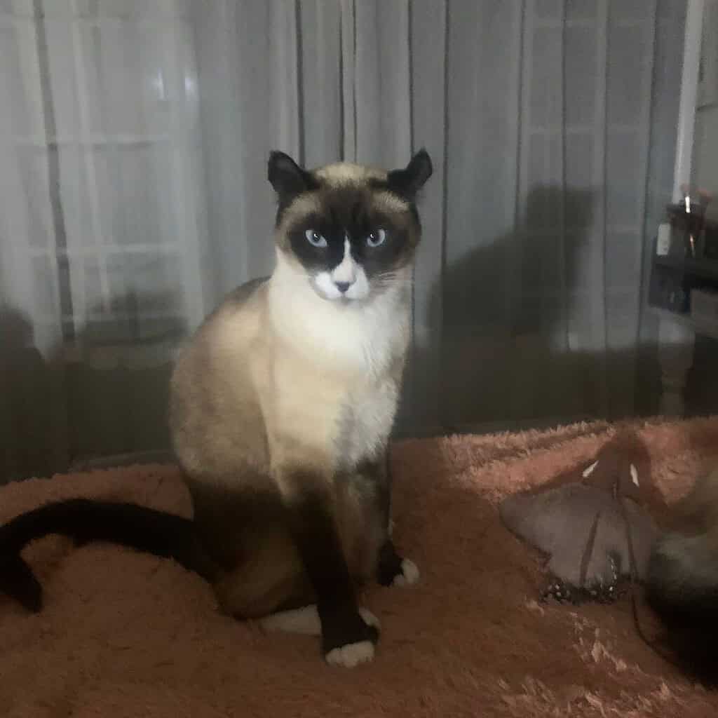 Image #1 from Natasha