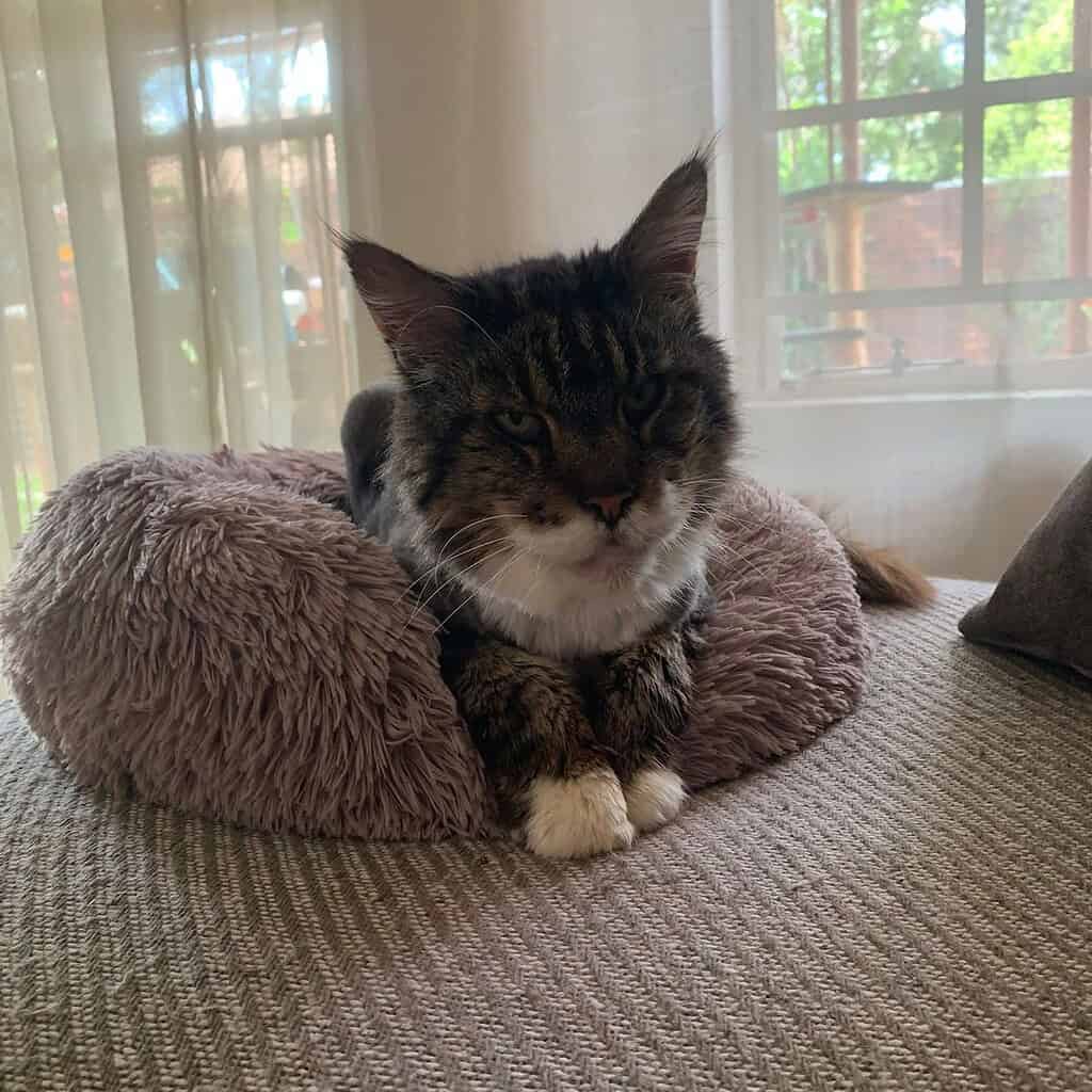 Image #3 from Natasha