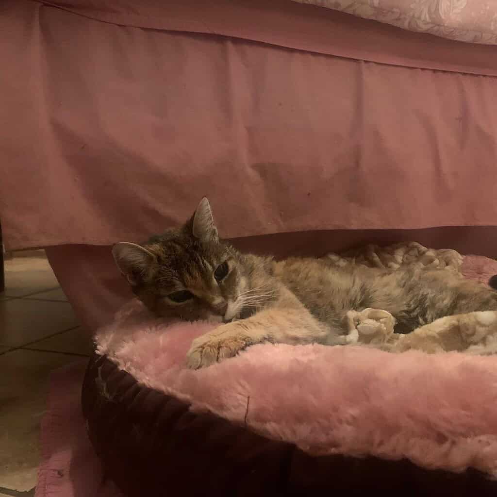 Image #1 from Natasha