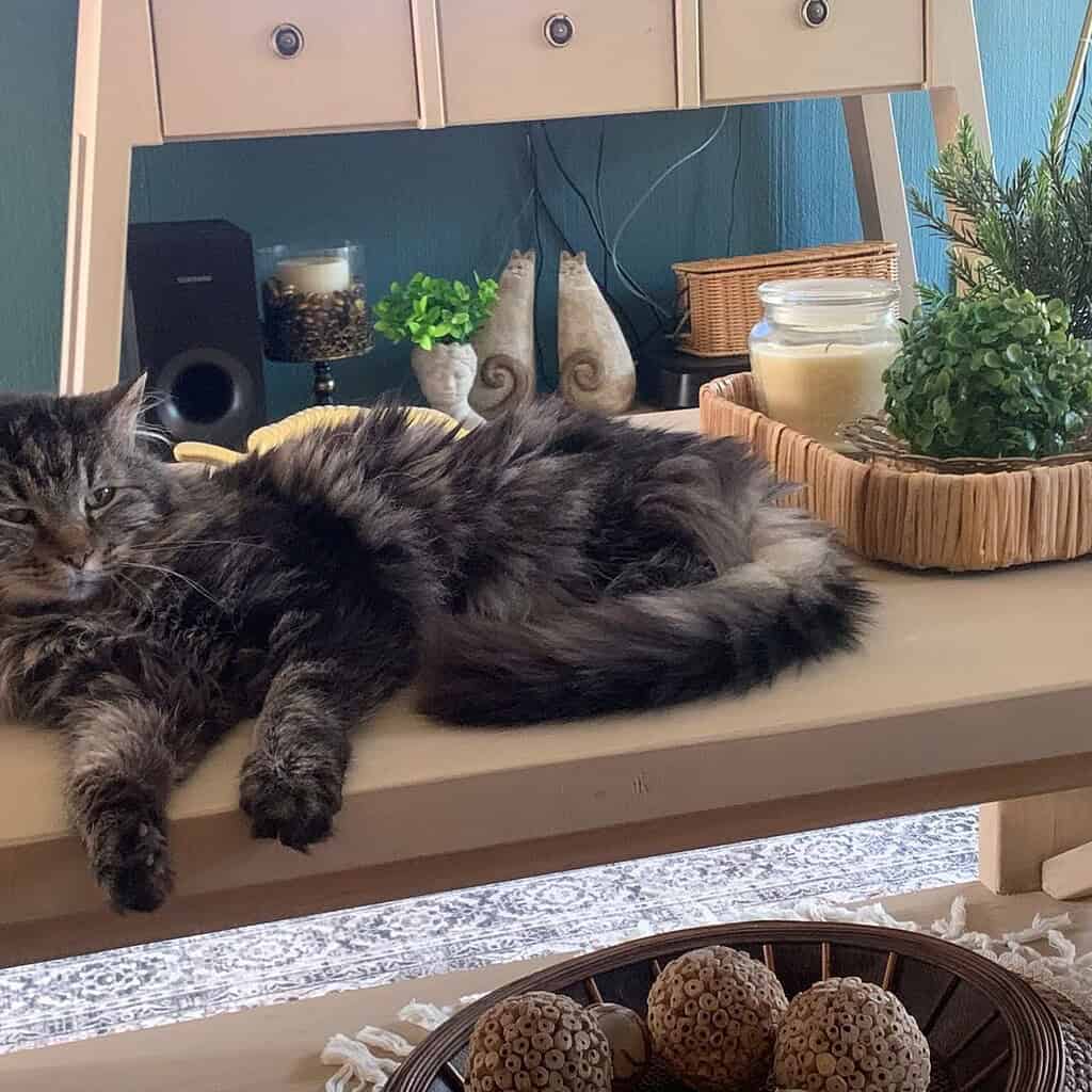 Image #2 from Natasha