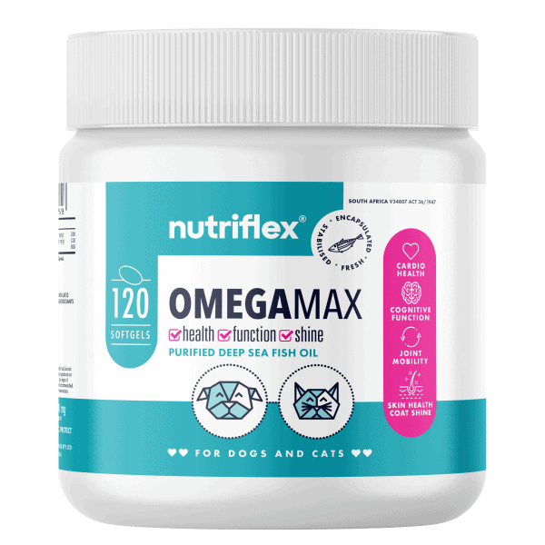 The Benefits Of Giving Your Dog Fish Oil Supplements 4 Nutriflex Omegamax Omega3 Fish Oil Softgels 120S Dogs Cats 360G