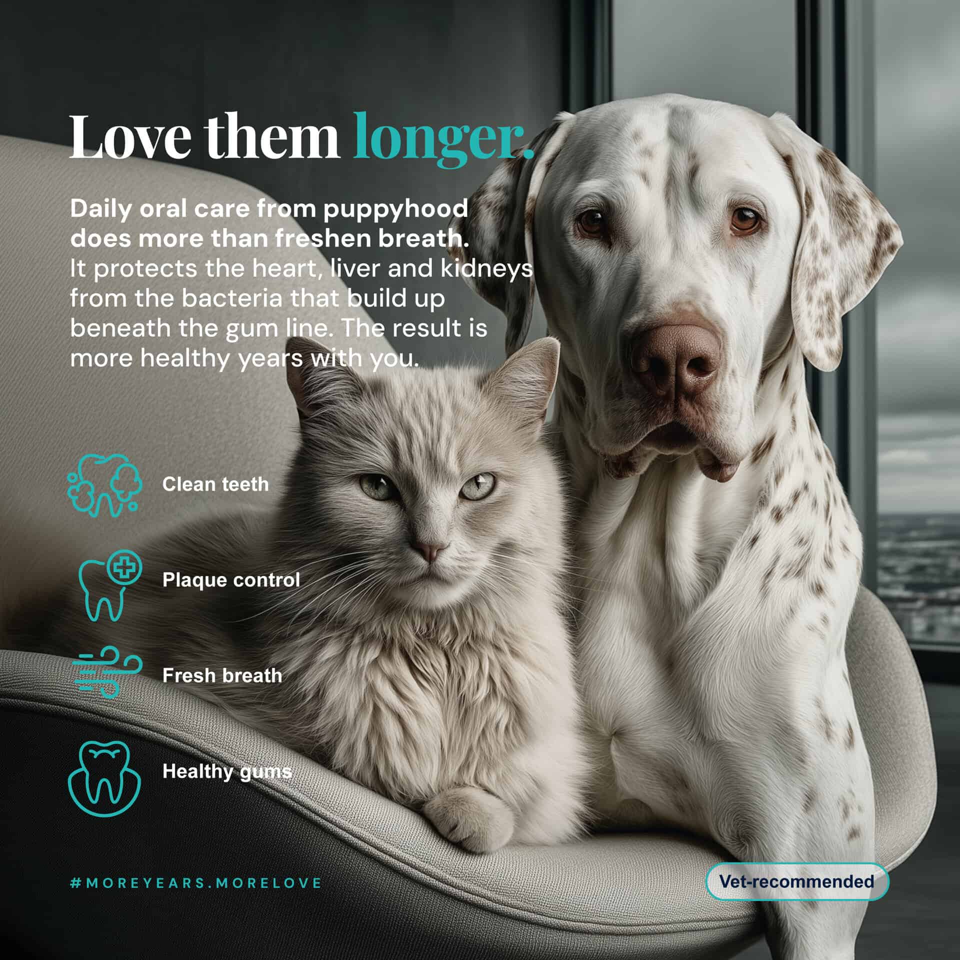 Dentamax Dental Powder For Dogs &Amp; Cats, Plaque, Tartar &Amp; Bad Breath 4 Dentamax Dental Powder For Dogs &Amp; Cats, Plaque, Tartar &Amp; Bad Breath - Image 4