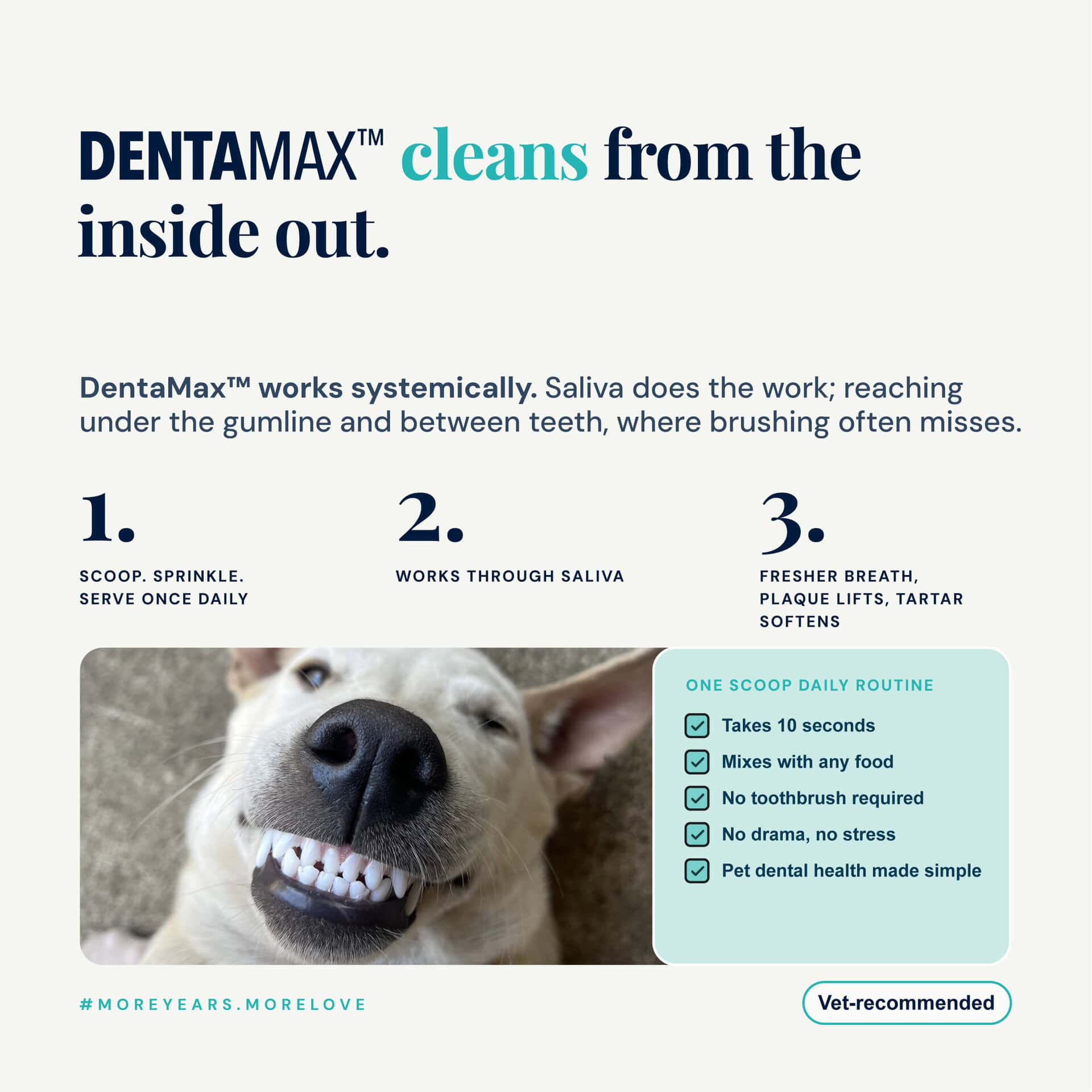 Dentamax Dental Powder For Dogs &Amp; Cats, Plaque, Tartar &Amp; Bad Breath 8 Dentamax Dental Powder For Dogs &Amp; Cats, Plaque, Tartar &Amp; Bad Breath - Image 8