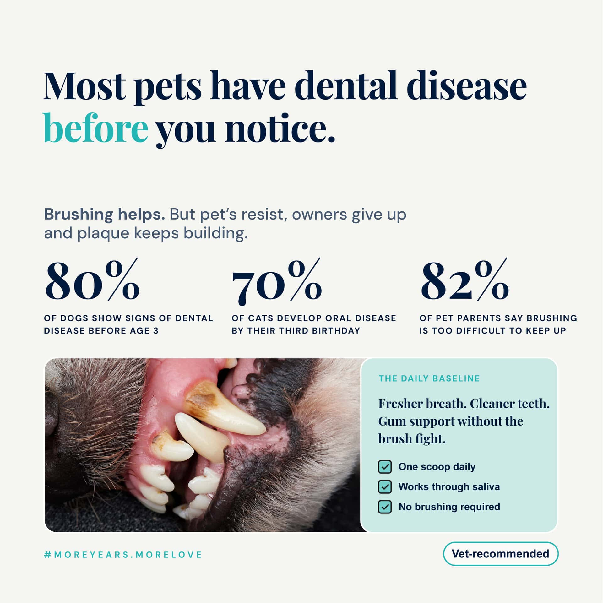Dentamax Dental Powder For Dogs &Amp; Cats, Plaque, Tartar &Amp; Bad Breath 2 Dentamax Dental Powder For Dogs &Amp; Cats, Plaque, Tartar &Amp; Bad Breath - Image 2