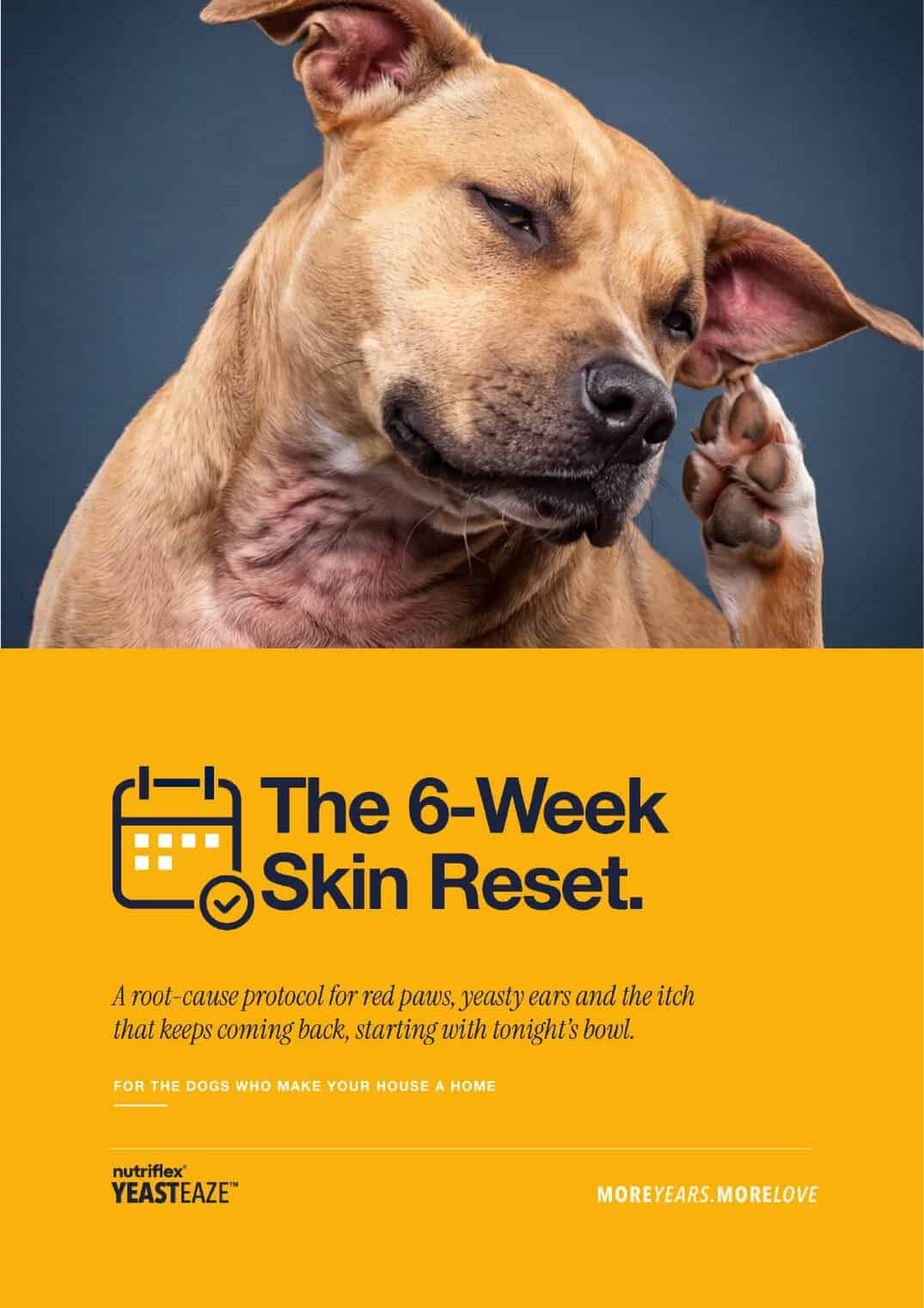 Cover Of The 6-Week Skin Reset Guide By Nutriflex