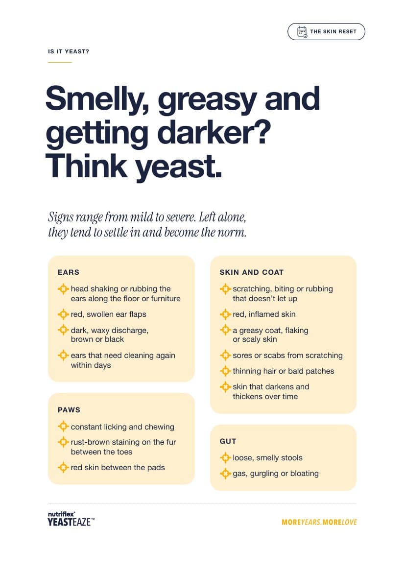 Skin Reset Guide Page Signs