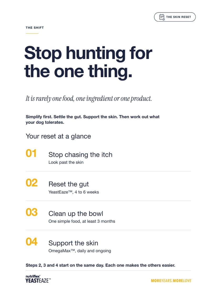 Skin Reset Guide Page Steps