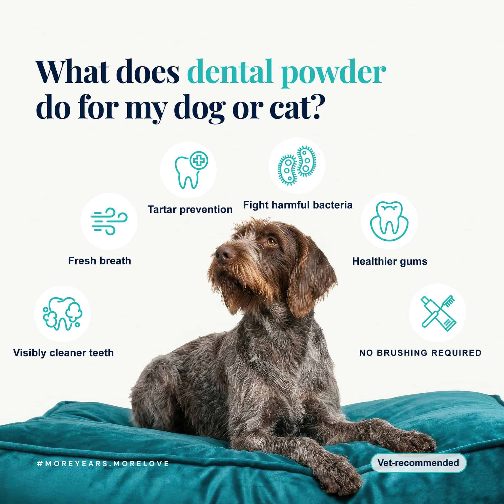 Dentamax Dental Powder For Dogs &Amp; Cats, Plaque, Tartar &Amp; Bad Breath 7 Dentamax Dental Powder For Dogs &Amp; Cats, Plaque, Tartar &Amp; Bad Breath - Image 7